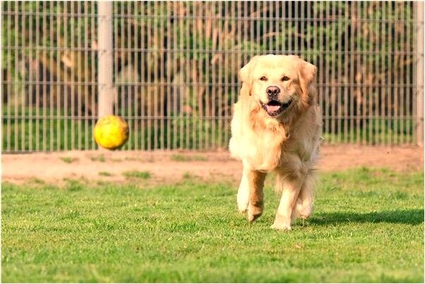 夢到了領導給我發煙意味著什麼_周公解夢官網