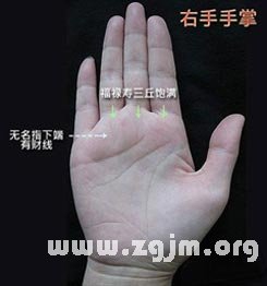 What is the sichuan words palm?