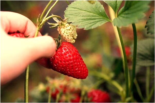 夢到給輪胎破小口有什麼意義嗎_周公解夢官網