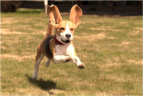 夢見表白拒絕嫌自己沒錢是吉兆嗎?_周公解夢官網