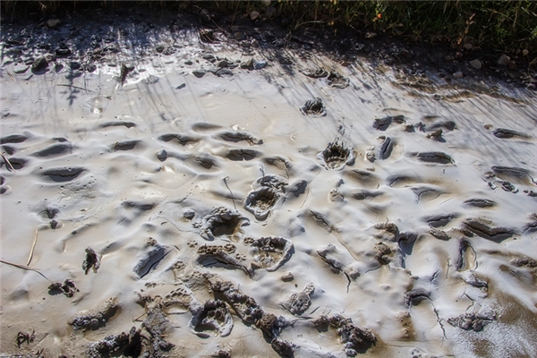 夢到了挖淤泥是好是壞_周公解夢