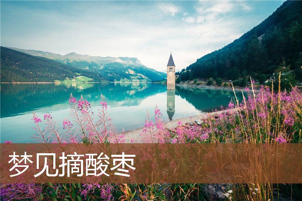 夢見摘酸棗_周公解夢