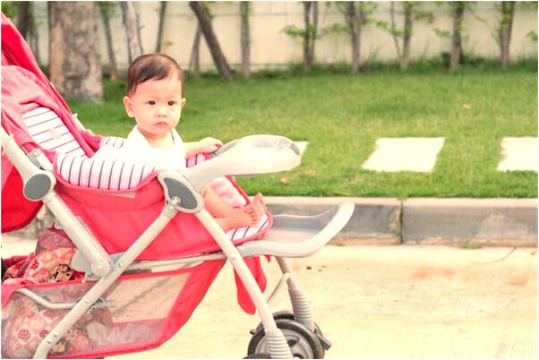 夢到海龜提到蓮花經會是什麼預兆_周公解夢官網