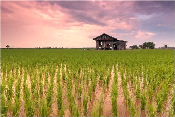 夢見清澈的水小孩在玩水預示了什麼_周公解夢官網