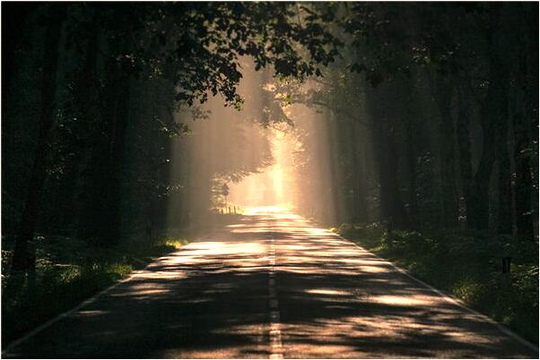 夢到老公的錢被人偷走代表著什麼?_周公解夢官網