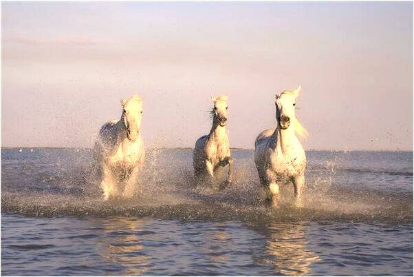 夢到了小孩的頭被衝到馬桶里了是好的徵兆嗎_周公解夢官網