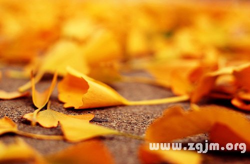 12星座最牛B的網名_十二星座