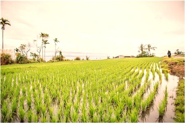 夢到胳膊上起好多疙瘩有什麼意思嗎_周公解夢官網