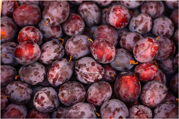 夢到了別人給自己要漲是凶兆還是吉兆_周公解夢官網