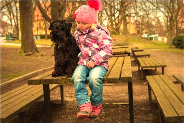 夢見架設高壓線路有什麼意思嗎_周公解夢官網