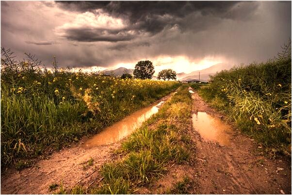 夢見母親躺在床上什麼寓意_周公解夢官網