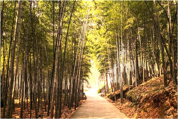 夢到了喝水時喝到蚯蚓怎么回事_周公解夢官網