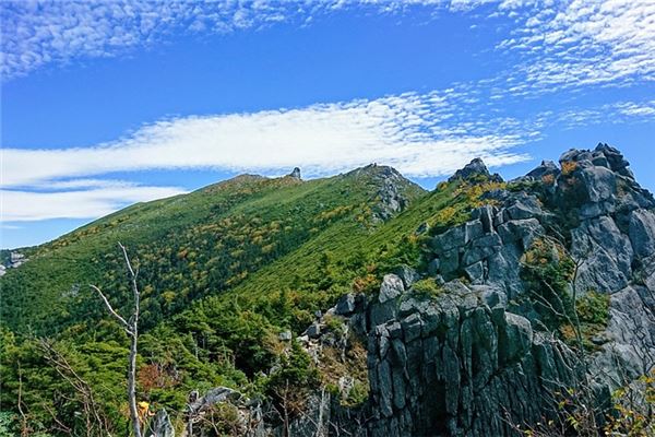 夢見在懸崖上有何寓意_周公解夢