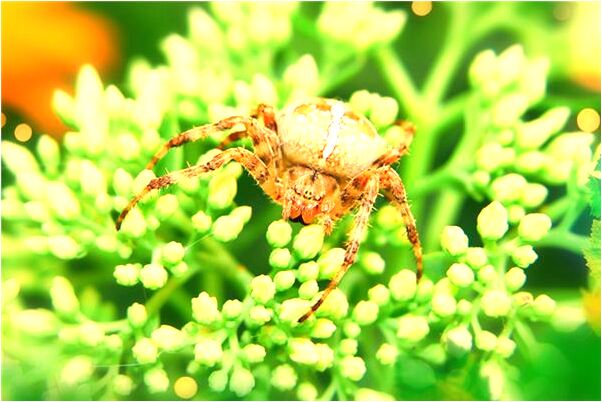 夢到朋友她好冷預兆了什麼嗎_周公解夢官網