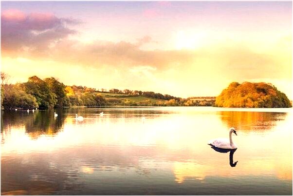 夢到肚子被搶打出血了什麼寓意_周公解夢官網