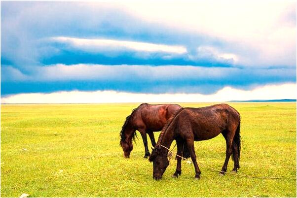 夢到男朋友當兵回來了代表著什麼？_周公解夢官網