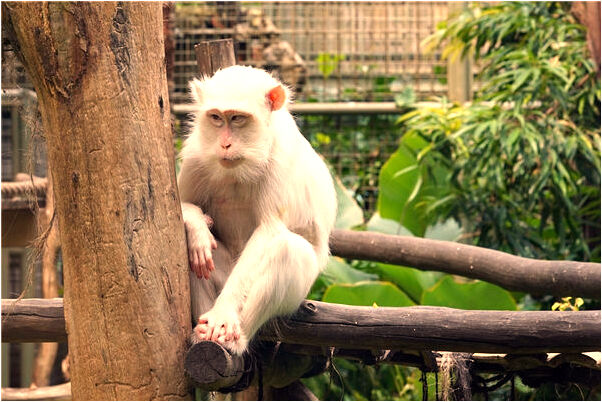 夢到跟別人同房是什麼兆頭_周公解夢官網