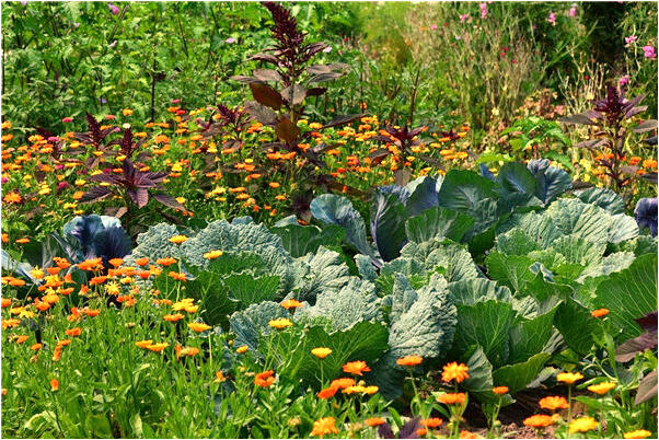 夢見妻子生了倆兒子是啥預兆_周公解夢官網