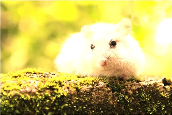 夢到了和鬼問路意味著什麼_周公解夢官網