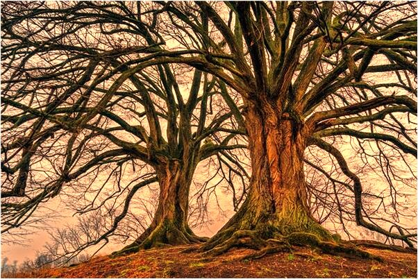 夢見小女孩被爸小男生們外婆罵是什麼意思_周公解夢官網