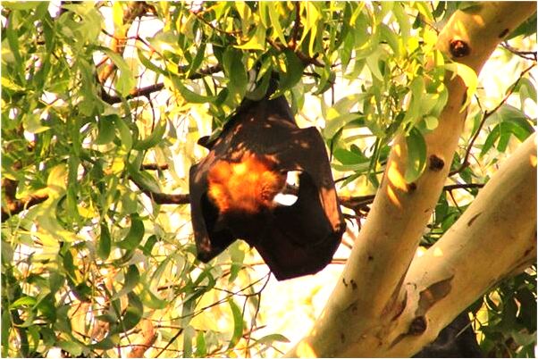 夢到女孩被拋棄預示著什麼_周公解夢官網