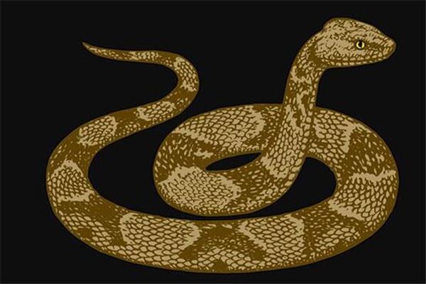 夢到了蛇吃狗意味著什麼_周公解夢