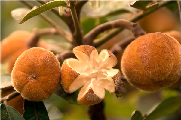 夢見男友車子壞了停路邊代表著什麼_周公解夢官網