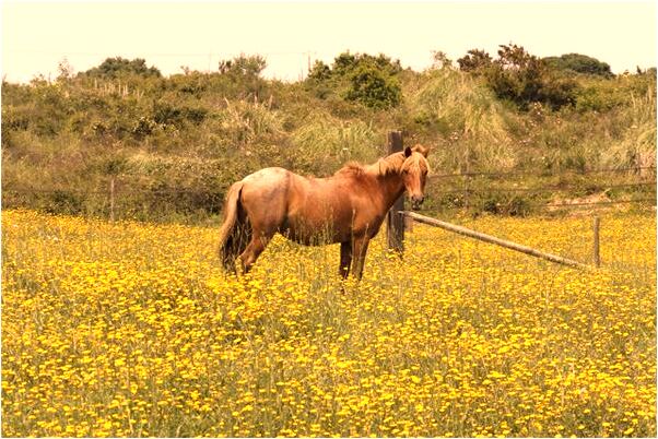 夢到了自己被人懷疑生氣的預兆_周公解夢官網