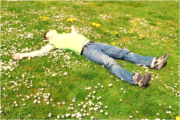 夢到好多黃黃的梨怎么說_周公解夢官網