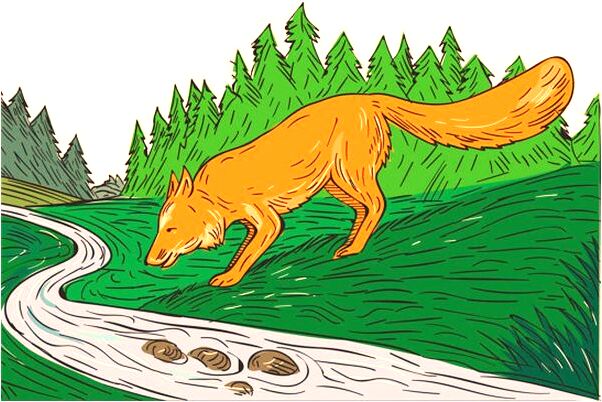 夢到蟲子掉在頭上預兆了什麼嗎_周公解夢官網