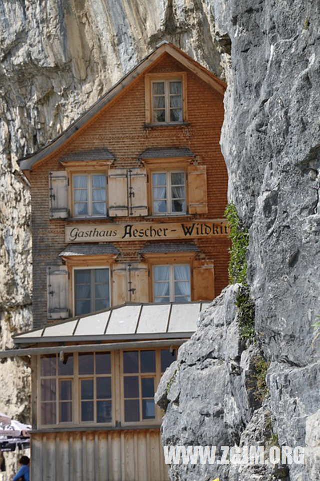 夢見大牛和小牛_周公解夢夢到大牛和小牛是什麼意思_做夢夢見大牛和小牛好不好_周公解夢官網