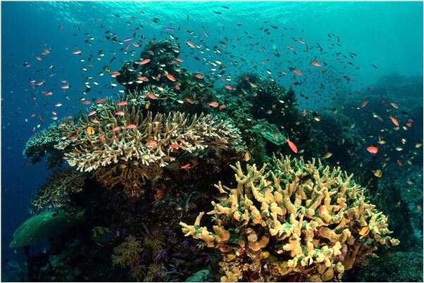 夢到了和不喜歡的人說話有什麼說法_周公解夢官網