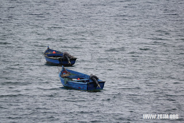 夢見丟失的狗又回來了_周公解夢夢到丟失的狗又回來了是什麼意思_做夢夢見丟失的狗又回來了好不好_周公解夢官網