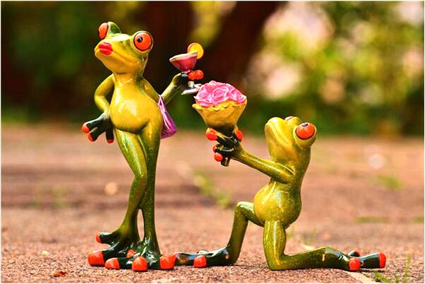 夢到了七彩的魚啥意思_周公解夢官網