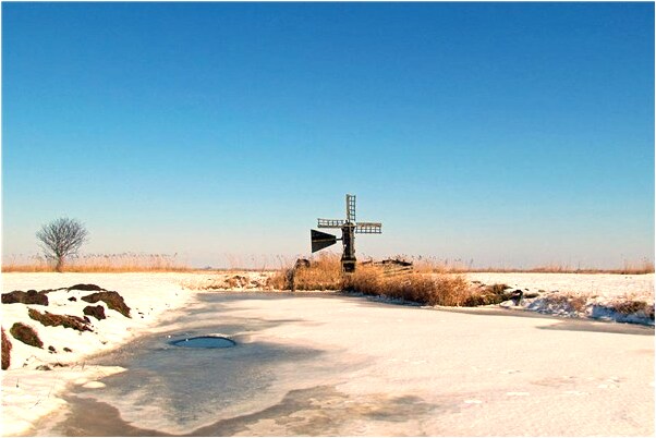 夢見胎夢金瓜會是什麼預兆_周公解夢官網