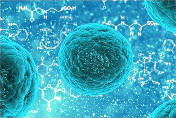 夢到整夜忙碌怎么樣_周公解夢官網