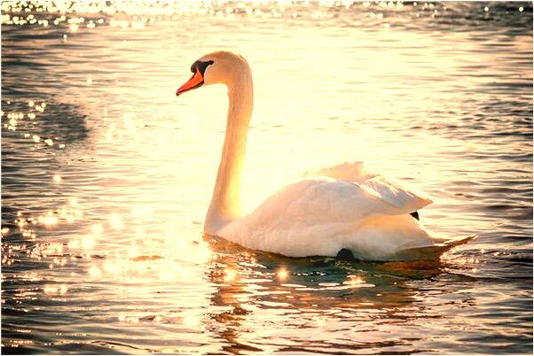 夢到去問熟人要錢會怎么樣_周公解夢官網