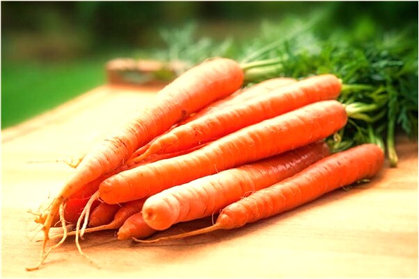 夢到了自己的衣服掛在樹上有什麼含義_周公解夢官網