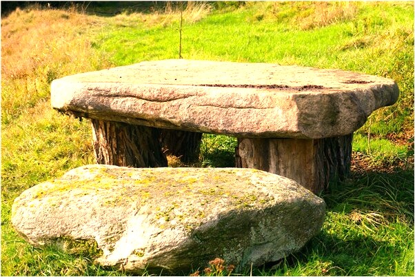 夢見黑貓生了小花貓意味什麼_周公解夢官網