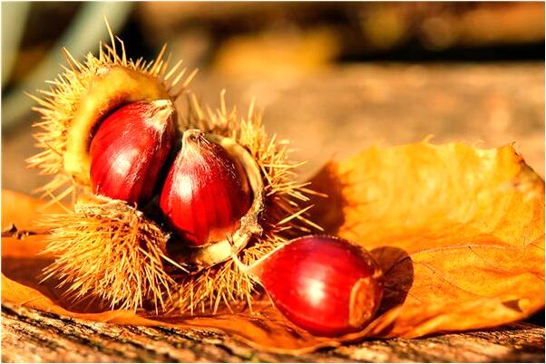 夢到自己練踢腿意味著什麼_周公解夢官網