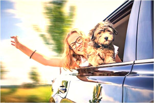 夢見贏了好多錢有什麼預兆_周公解夢官網