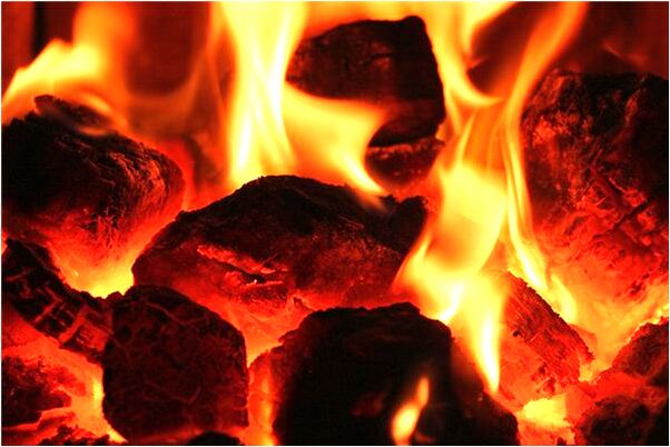 夢到小白狗抱著我的腿是什麼意思_周公解夢官網