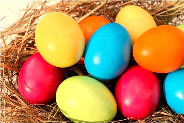 夢到蘋果變成布偶貓怎么回事_周公解夢官網