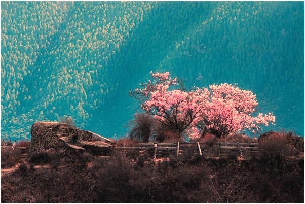 夢見撿錢又還了預示了什麼_周公解夢官網