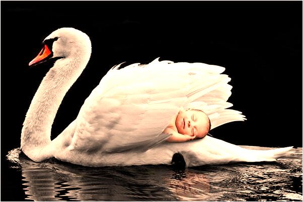 夢見老婆再婚有什麼意思_周公解夢官網