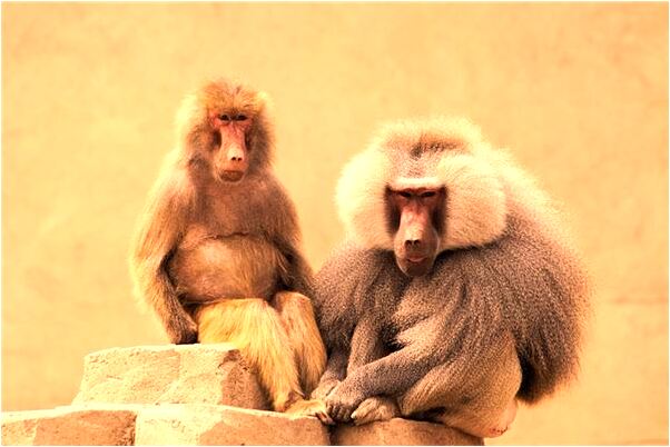 夢到了已去世多年的爺爺是什麼意思？_周公解夢官網