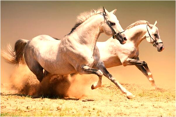 夢見換褲子鞋子有什麼說法_周公解夢官網