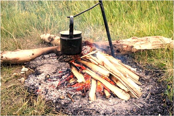 夢到了被小黃狗咬著不敢動什麼寓意_周公解夢官網