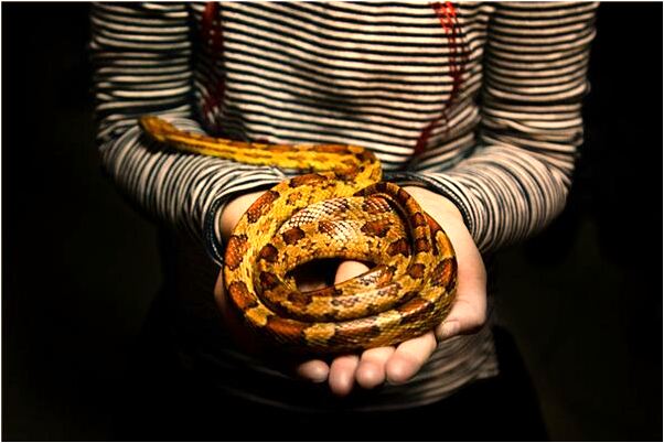 夢到認識的人殺人是咋回事_周公解夢官網