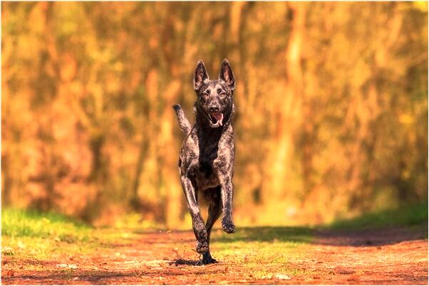 夢見他人死是什麼預兆？_周公解夢官網